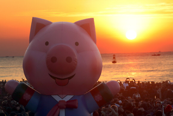 ‘황금돼지해’ 2019년 첫해가 떠올랐다. 1일 돼지 모양 조형물이 설치된 부산 해운대해수욕장에서 시민이 일출을 바라보고 있다. 연합뉴스
