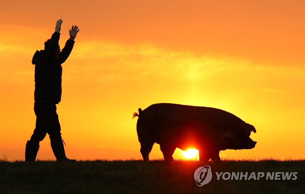 황금축산 이미지