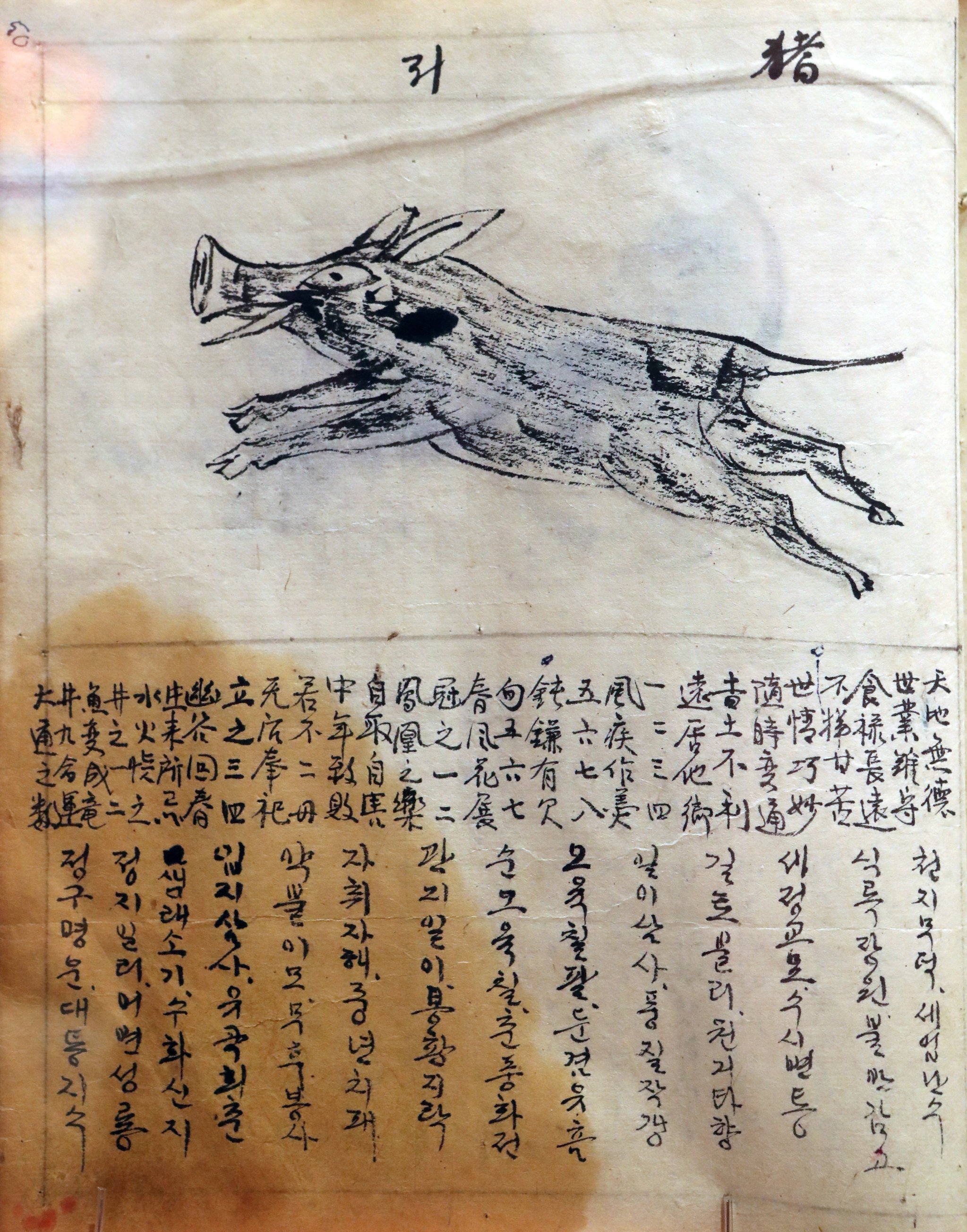 간지1985 이미지