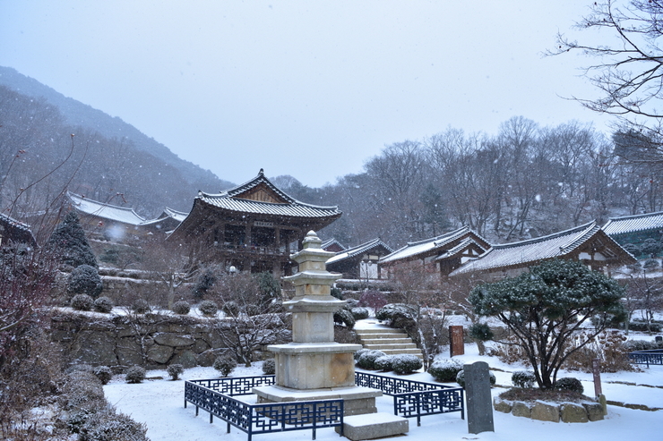 영주 이미지