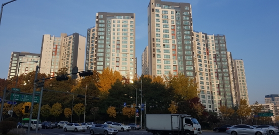 달루체 이미지