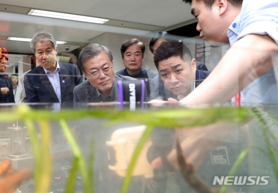 스타트스쿠버다이빙 이미지