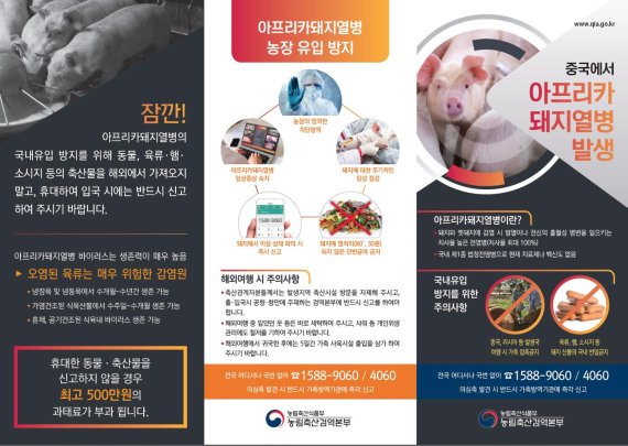 선양돼지 이미지