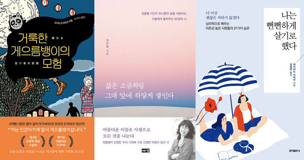 가연 이미지