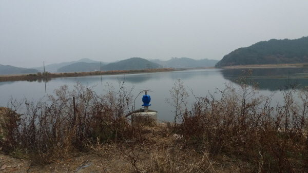 태양회계법인 이미지