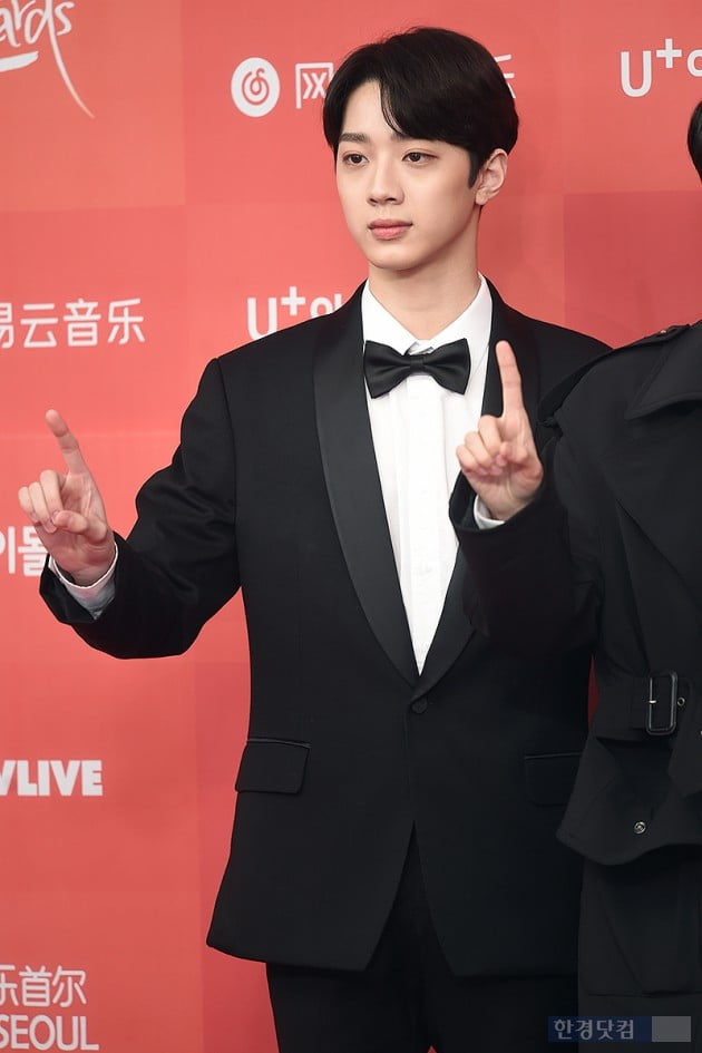 Group Wanna One Lai Kuan-lin attended the 33rd Golden Disc Awards - Soundtrack Division red carpet held at Gocheok Sky Dome in Gocheok-dong, Seoul on the afternoon of the 5th.