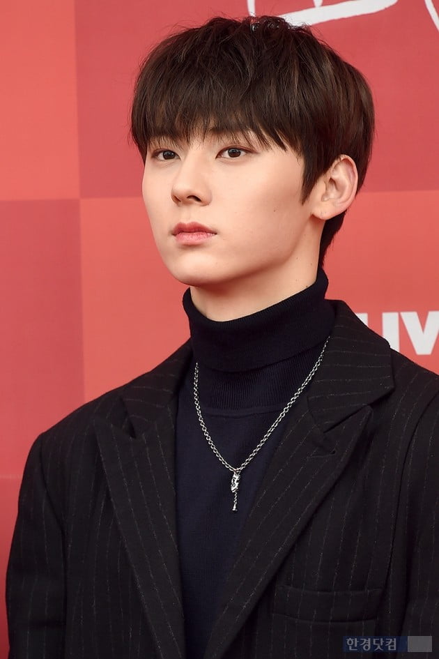 Group Wanna One Hwang Min Hyun attended the red carpet of 33rd Golden Disc Awards - Musical Division held at Gocheok Sky Dome in Gocheok-dong, Seoul on the afternoon of the 5th.