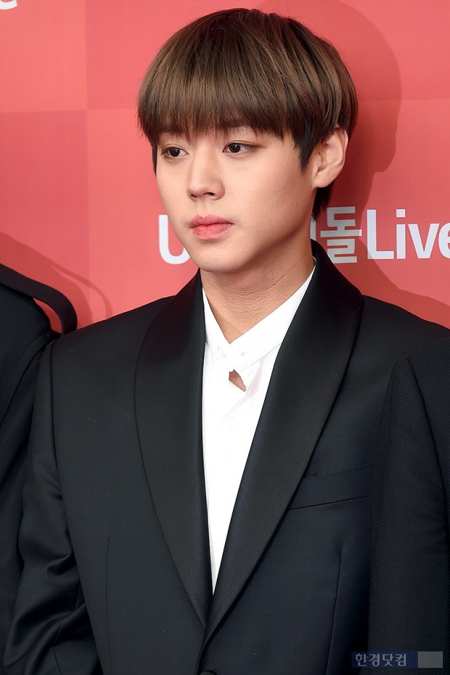 Group Wanna One Park Jihoon attended the 33rd Golden Disk Awards - Sound Source Division red carpet held at Gocheok Sky Dome in Gocheok-dong, Seoul on the afternoon of the 5th.