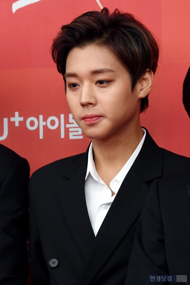 Group Wanna One Park Jihoon attended the 33rd Golden Disk Awards red carpet event held at Gocheok Sky Dome in Gocheok-dong, Seoul on the afternoon of the 6th.