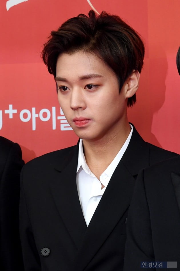 Group Wanna One Park Jihoon attended the 33rd Golden Disc Awards Awards red carpet event held at Gocheok Sky Dome in Gocheok-dong, Seoul on the afternoon of the 6th.