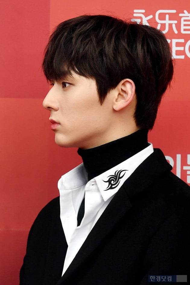 Group Wanna One Hwang Min Hyun attended the 33rd Golden Disc Awards Awards red carpet event held at Gocheok Sky Dome in Gocheok-dong, Seoul on the afternoon of the 6th.