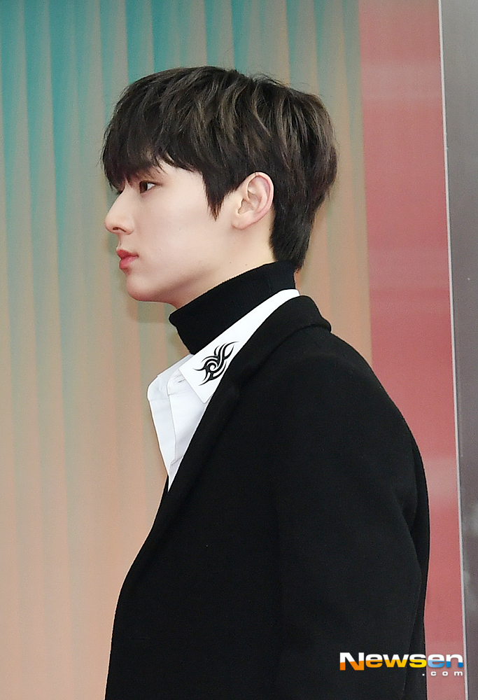 Wanna One Hwang Min-hyun is entering the red carpet and photo wall ahead of the awards ceremony for the 33rd Golden Disc Awards at Gocheok Sky Dome in Guro-gu, Seoul, on the afternoon of January 6.useful stock