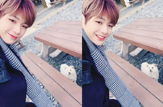 Wanna One Kang Daniel has left fans hearts pounded with dumb smileOn the 7th, Kang Daniel posted a picture on his SNS saying Hello white boy.Especially in this process, Kang Daniels daily life focused on the gaze of those who remind me of the picture at once.Meanwhile, Wanna One, which Kang Daniel belongs to, will hold its last concert from 24th to 27th after finishing official activities on December 31st last year.