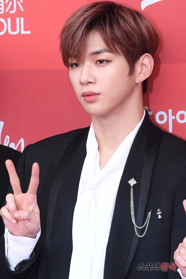 '제33회 골든디스크 어워즈' 레드카펫 행사에 참석하고 있는 워너원 강다니엘. 사진=장동규 기자 jk31@hankooki.com