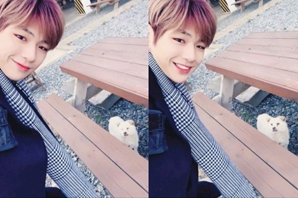 Kang Daniel, who was a group Wanna One, released a photo taken with puppy.Kang Daniel posted a picture on his SNS on the 7th with an article entitled Hello White Boy.Kang Daniel in the photo is a place with a puppy, lowering his posture and smiling brightly.The netizens who saw this responded such as It resembles Kang Daniel, I envy the poppy and It is such a smile.Meanwhile, Kang Daniel was listed on Guinness by achieving one million followers at the fastest pace on Instagram, according to Guinness World Records in the UK.Photo: Kang Daniel Instagram