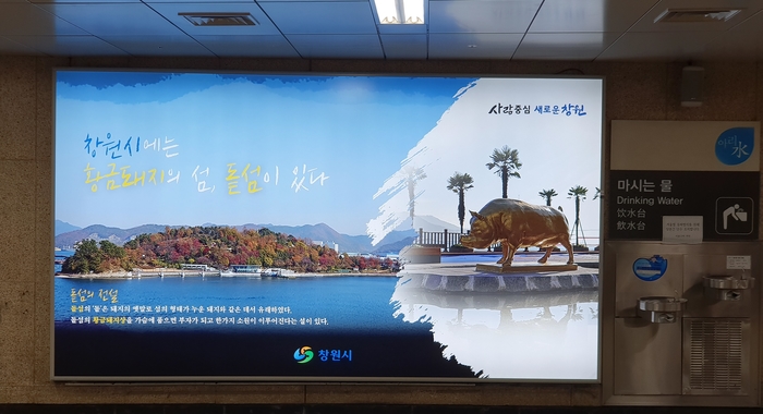 복주는돼지 이미지