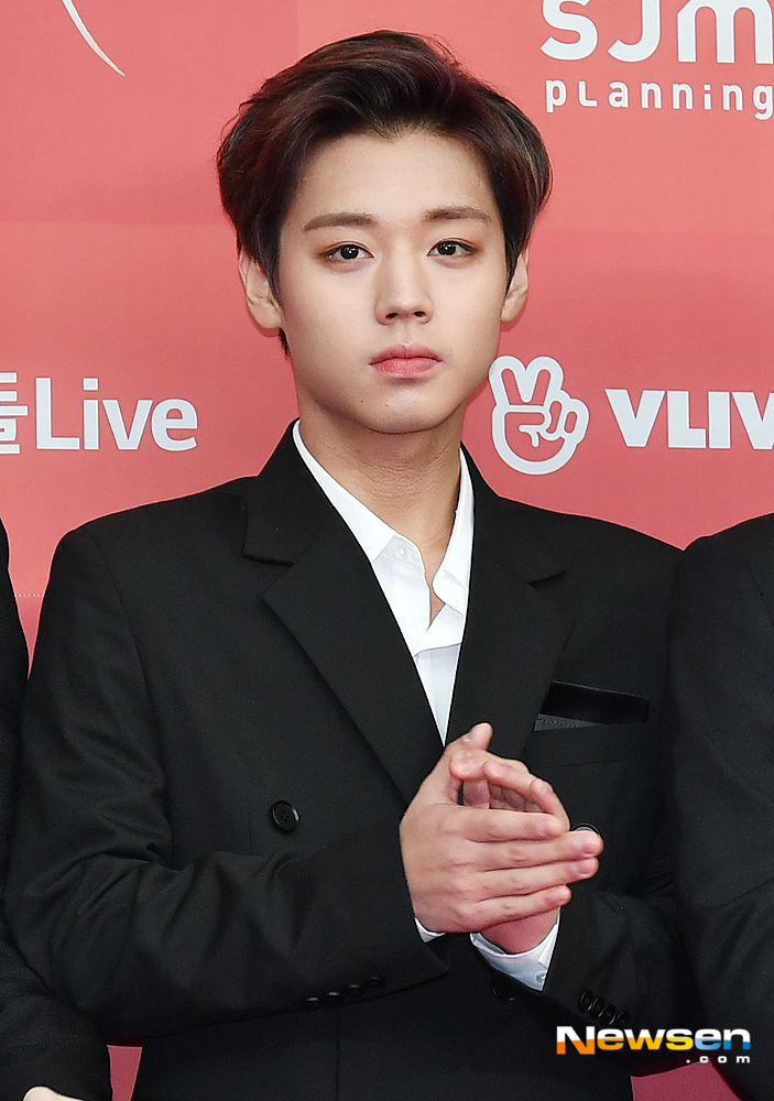 Wanna One Park Jihoon poses on the red carpet and photo wall ahead of the awards ceremony for the 33rd Golden Disc Awards at Gocheok Sky Dome in Guro-gu, Seoul, on the afternoon of January 6.useful stock