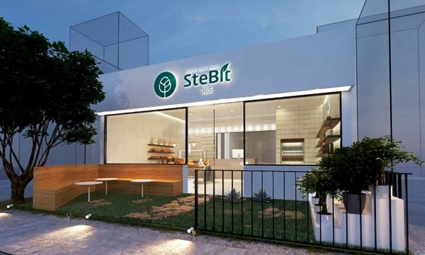 스테비아코리아 이미지