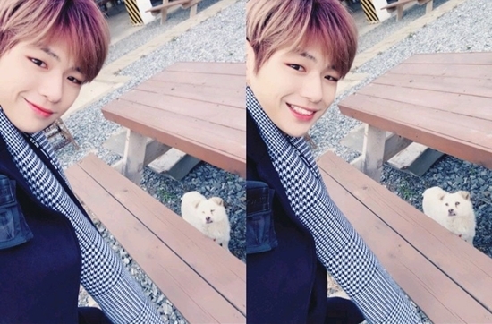 Kang Daniel of the group Wanna One has unveiled a lovely selfie.Kang Daniel posted a picture on his Instagram on the 7th with an article entitled Hello White.Kang Daniel in the photo is staring at the camera outdoors and taking a puppy. Kang Daniel has doubled his unique refreshing charm with a fresh smile.Kang Daniel opened a personal Instagram on the 2nd and succeeded in collecting 1 million followers in a day and set a new Guinness record.Photo = Kang Daniel Instagram