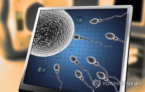정자네 이미지