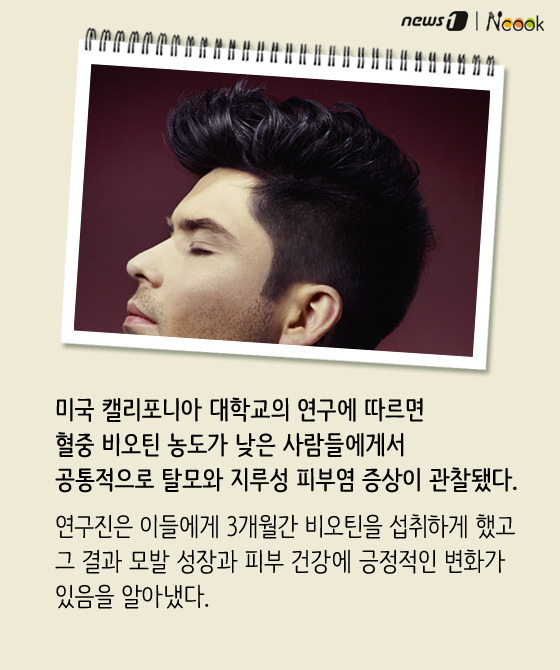 하루쿡 이미지