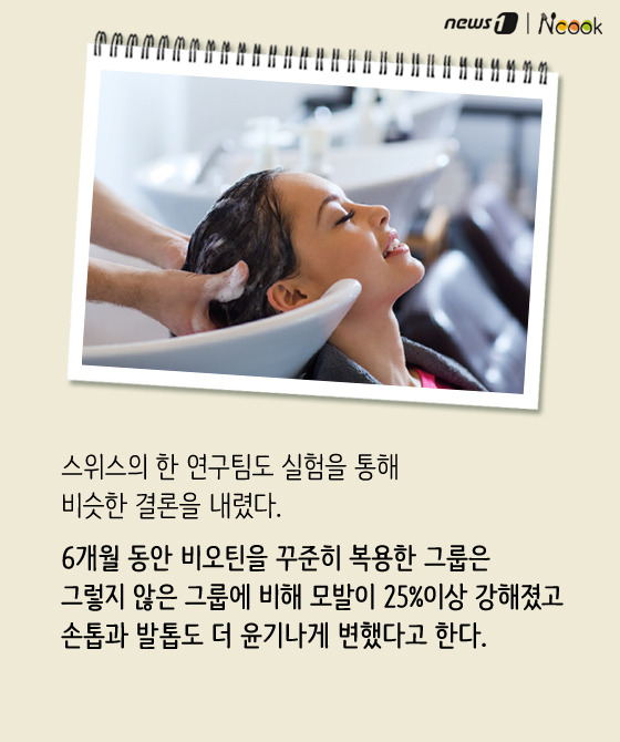 하루쿡 이미지