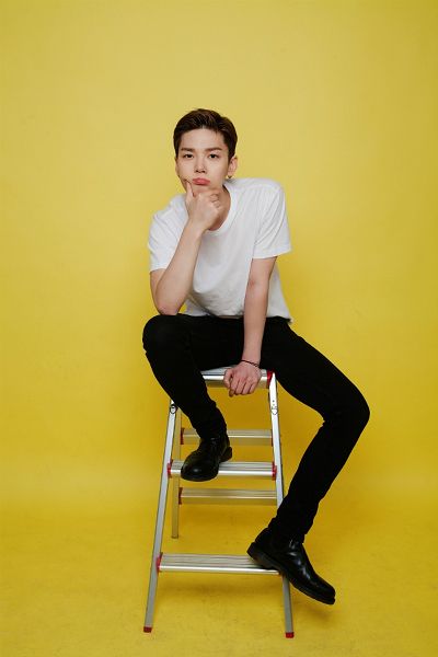 젤로 이미지
