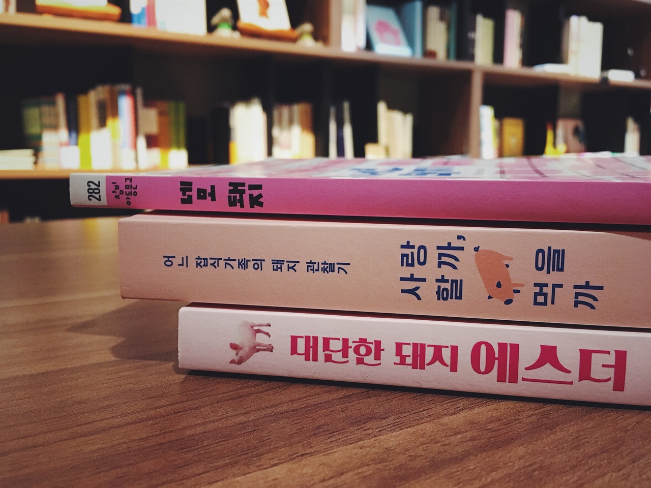 복주는돼지 이미지
