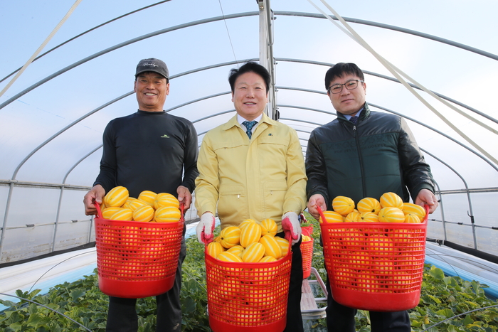 성주 이미지