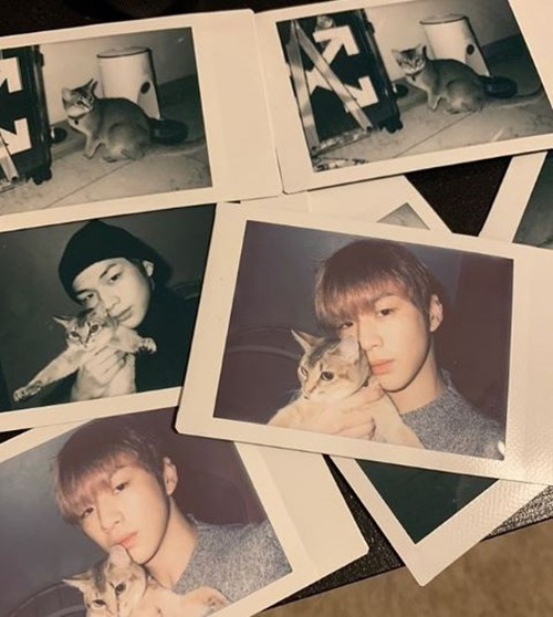 On the 11th, Kang Daniel posted a picture on his Instagram with an article entitled Lets take more pictures of Limited editions.In the public photos, there were photos of the companion tomb and several Polaroid pictures taken by Kang Daniel and the companion tomb together.Kang Daniel embraced his companion and showed affection with his face.Meanwhile, Kang Daniels group Wanna One will hold its last concert at Gocheok Sky Dome in Guro-gu, Seoul from 24th to 27th.
