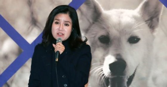 법률사무소율담 이미지