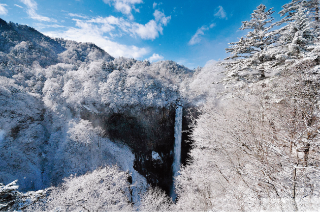 (주)철마관광 이미지