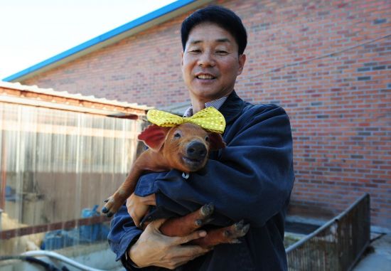 웃으면돼지 이미지