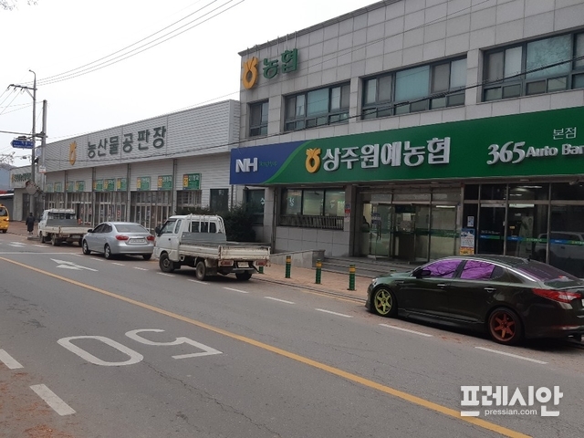 대동원예 이미지