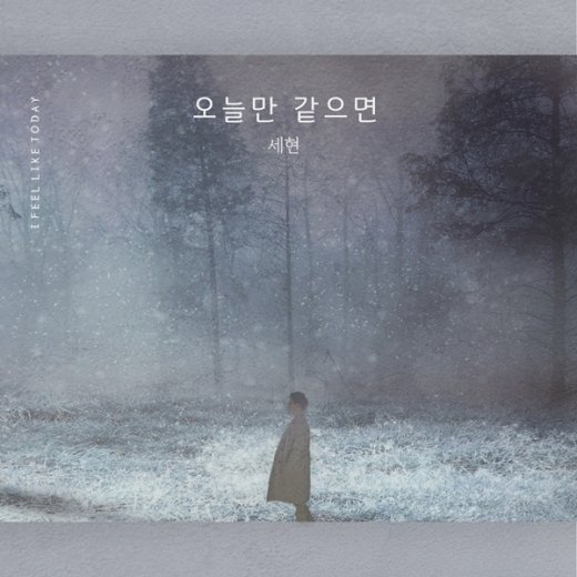 세현 이미지