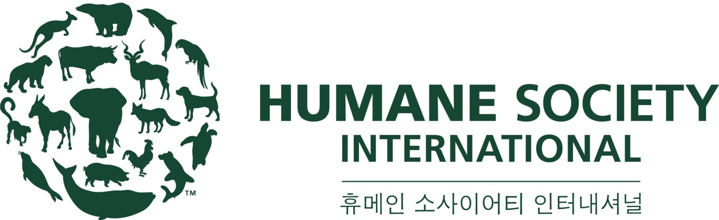 제법 이미지