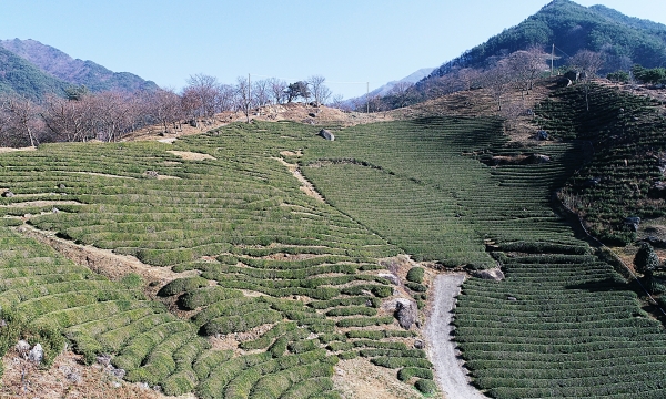 하동 이미지