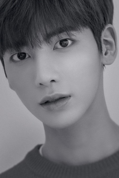 태현스포츠 이미지