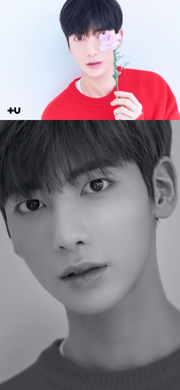 태현스포츠 이미지