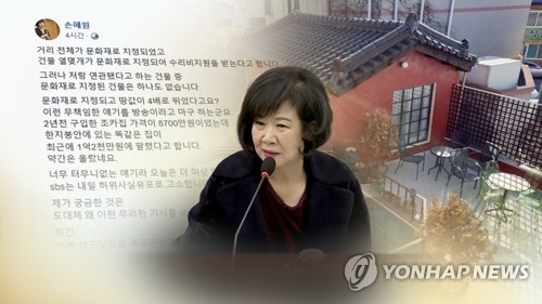 민주당 손혜원 의원의 부동산 투기 의혹 (CG) [연합뉴스TV 제공]