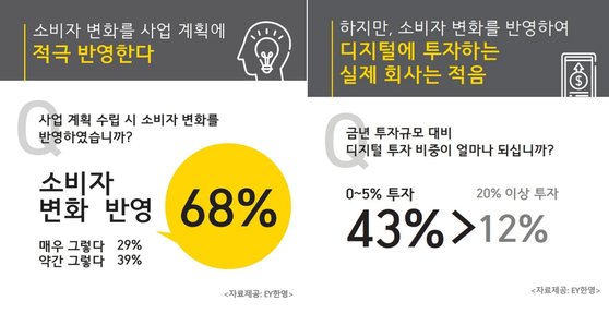 ey 이미지
