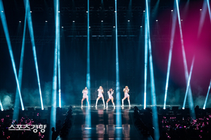 스왈라swalla 이미지