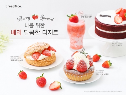 브레댄코 이미지