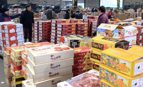 과일바빠 이미지