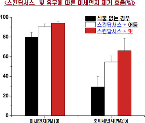 미세잎 이미지