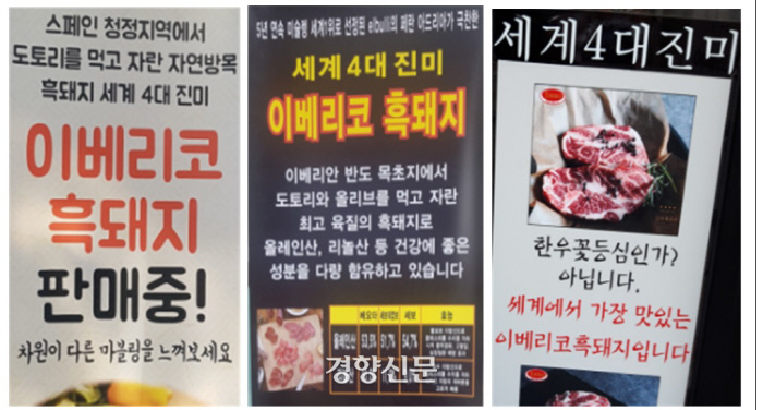 돼지는이베리코 이미지