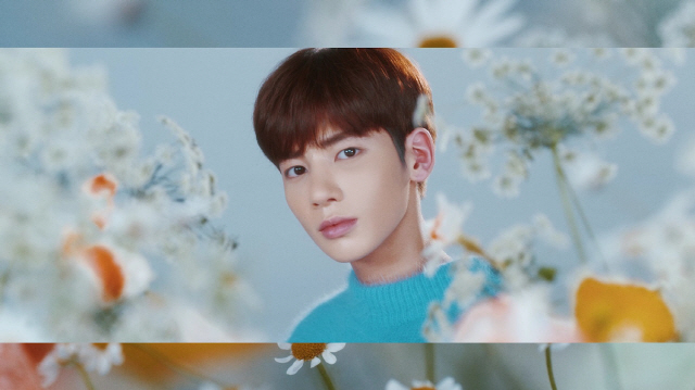 태현스포츠 이미지