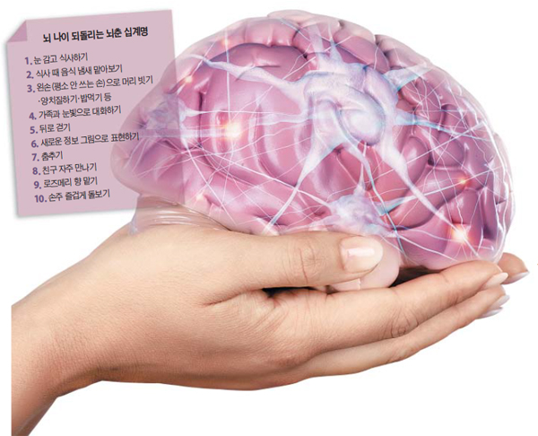 뇌 나이도 노력하면 되돌릴 수 있다. ‘뇌춘(腦春)’을 위해선 평소 익숙지 않았던 일에 도전하는 게 가장 좋다. 왼손으로 밥을 떠 먹거나, 뒤로 걸어보는 식이다.