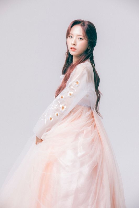 보나투어 이미지
