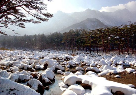 금강산에 이미지